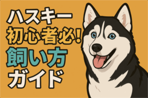 ハスキーってどんな犬？初心者でもわかる魅力完全ガイド